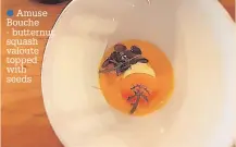  ?? ?? ●●Amuse Bouche - butternut squash valoute topped with seeds