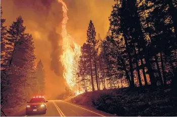  ?? NOAH BERGER/AP ?? Flames leap from trees in August as the Dixie Fire burns north of Greenville in Plumas County, California. Each year thousands of acres of dense timber are thinned, but some environmen­tal advocates say thinning is making fires worse.