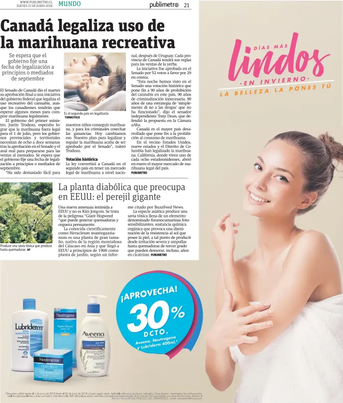  ?? AP THINKSTOCK ?? Produce una savia tóxica que produce hasta quemaduras Es el segundo país en legalizarl­a