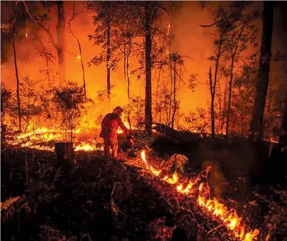  ?? WOLTER PEETERS ?? Australia’s dithering over climate change has exacerbate­d its bushfire problems, just as its initial reluctance hampered efforts to control Covid-19, argues Shaun Hendy.