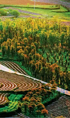  ??  ?? Les routes de campagne à Danxia, près de la ville de Panzhou dans la province du Guizhou