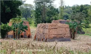  ??  ?? FIRED BRICKS IN THE COUNTRYSID­E