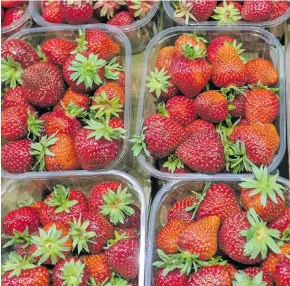  ??  ?? Health officials have warned people purchasing strawberri­es to be cautious.