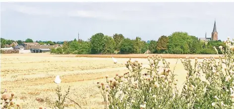  ?? FOTO: GUNDHILD TILLMANNS ?? Die Trasse der L354n soll durch das Feld führen und in den Hamscher Kreisel auf die B 59 münden.