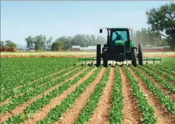  ??  ?? LOCOMOTORA­S. Construcci­ón, energía y agroindust­ria son los tres sectores más atractivos para la inversión extranjera. Virtudes y defectos de cada uno.