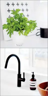  ??  ?? BELOW A matte black faucet and plus-signpatter­ned print lend graphic interest to the all-white room. The parsley plant adds a functional pop of texture and colour. PRINT, Örling & Wu; TABLE LAMP (in front of print), Vancouver Special.