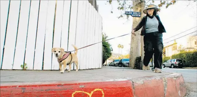  ?? Mel Melcon Los Angeles Times ?? A DOG WALKER TAKES a friend on an outing at Beachwood Drive and Glen Holly Street in Hollywood Hills, a community with a population of almost 22,000.