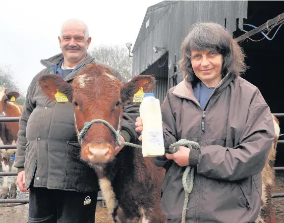  ??  ?? > Kath and Robert Granville sell raw milk at Gelli Farm, Cefn Cribwr, near Bridgend