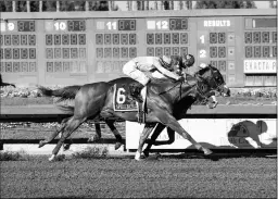  ?? BENOIT PHOTO ?? Spielberg (No. 6) wins the Los Alamitos Futurity by a nose. He has since finished fourth in the Robert Lewis at Santa Anita.