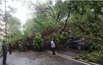  ?? — RAJESH JADHAV ?? People look at uprooted trees fallen on a road near Wankhede Stadium, Mumbai, on Thursday. The Colaba observator­y in south Mumbai recorded 330mm rainfall in the 24-hour.