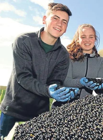  ?? Pictures: Gareth Jennings. ?? Andrew Husband and his family with some of their produce.