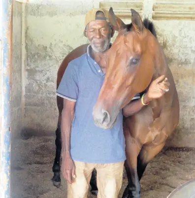  ?? PHOTO BY ROBERT BAILEY ?? Groom Wesley Hewitt pictured with VICTORY TURN, one of the young horses in his care, at the stables at Caymanas Park on Friday.