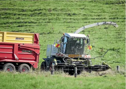  ??  ?? Expect farmers to be restored to public respect and even affection, as they replace tourism as the engine-room of the economy.