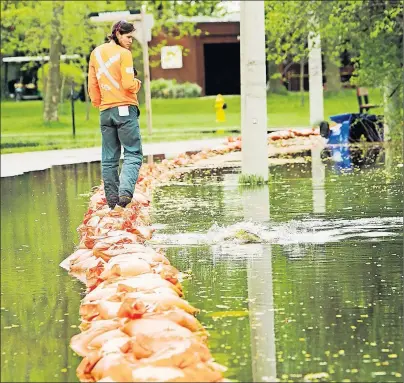  ?? CP PHOTO ?? Arborist Claire Bohdan walks the street line row of sandbags Friday as a spawning carp splashes near her on Toronto Islands. The sandbags hold water from flooding the land more as Toronto Islands are threatened by rising water levels on Friday.