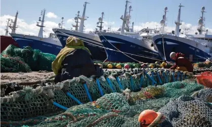  ??  ?? Scottish pelagic ships at Fraserburg­h harbour. Photograph: MediaWorld­Images/Alamy