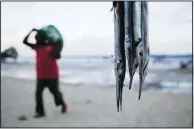  ?? ?? A fisherman walks with his catch June 11 as needlefish hang at right at the Shimoni port in Kwale County.