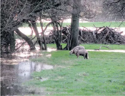  ?? Hadyn Iball ?? > Flood water in fields near the A55 at St Asaph last week. Farmers all over the world need to invest to make their industry more resilient to weather disruption if they are to continue to be able to feed growing population­s