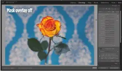  ??  ?? While making local adjustment­s, turn on ‘Show Selected Mask Overlay’ (top) to see how Colour Range and Luminance features affect your image Mask overlay off