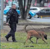  ?? ALONSO TENORIO. ?? Los policías rastrearon por donde corrieron los sujetos.