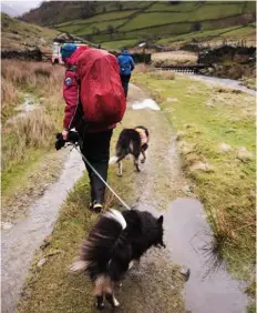  ??  ?? THIS PAGE Elly Whiteford oversees the training of new search dog recruits, which takes about six months before they move on to the next stage