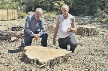  ??  ?? Rohan Wilson and Cllr Nick Sandford at the woodland where the trees have been cut down