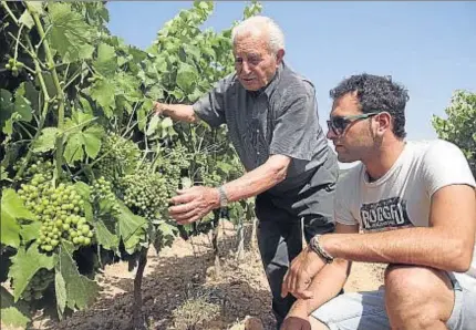  ?? VICENÇ LLURBA ?? Josep Caselles, junto a su nieto Ricard, que ha fundado con dos socios más una bodega en Blancafort