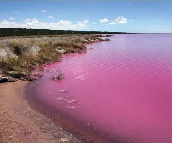  ?? FOTO: ADOBE STOCK ?? Pink Lake i Australien är rosa av naturen.
■