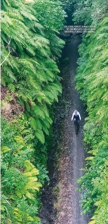  ??  ?? THE FERN FOREST SINGLETRAC­K OF THE WAIKATO VALLEY WAS ORIGINALLY BUILT FOR HIKERS.