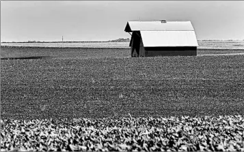  ?? NATI HARNIK/AP ?? Soybean growers, such as those in Avoca, Neb., stand to be among the biggest losers in a lengthy trade fight with China.