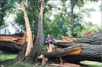  ?? Matthew Brown / Hearst Connecticu­t Media ?? Tyler Maloney holds his son, Bear, near a large tree in front of his home on Bertmor Drive in Stamford, on Aug. 8. The tree fell during Tropical Storm Isaias, cutting power and access to his neighborho­od. Maloney and several of his neighbors were upset and concern over the lack of response from both Eversource and the City of Stamford in clearing the tree and opening up the roadway.