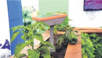  ?? RAÚL ASENCIO/LD ?? El Garden Pro es un prototipo de “agricultur­a inteligent­e”.