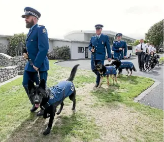  ?? PHOTO: MONIQUE FORD/STUFF ?? Constable Cam Gunn from Hawke’ s Bay with dog Ezro leads out the graduates from the New Zealand Police Dog Training Centre in Upper Hutt.