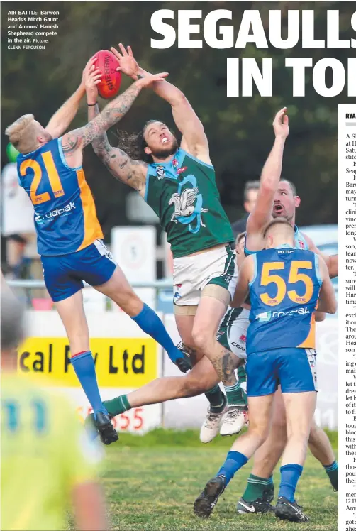  ?? Picture: GLENN FERGUSON ?? AIR BATTLE: Barwon Heads’s Mitch Gaunt and Ammos’ Hamish Shepheard compete in the air.