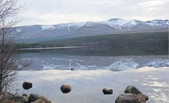  ?? ?? Peaceful Reflection­s of the Cairngorms on the waters of Loch Morlich, by Davie Macdonald