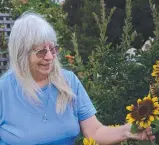  ??  ?? Lynette Wood takes great joy from the sunflowers currently in bloom in her garden.Picture: Jennifer Stackhouse