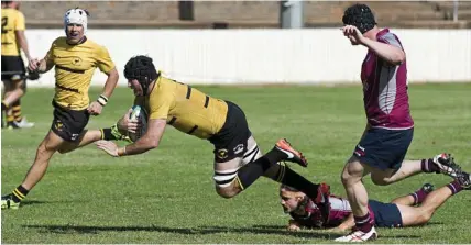  ??  ?? OVER: Goondiwind­i’s Sam Tweedy scores a try against Toowoomba Bears at Heritage Oval on Saturday. PHOTO: KEVIN FARMER