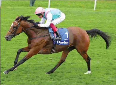  ?? COURTESY OF YORK RACECOURSE ?? The Yorkshire Oaks (above) was one of Enable’s three Group 1 wins during a four-start season.