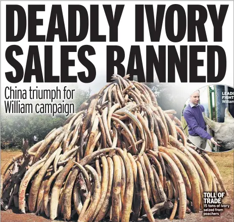  ??  ?? TOLL OF TRADE 15 tons of ivory seized from poachers