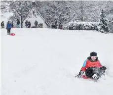  ?? FOTOS: CLAUDIA BUCHMÜLLER ?? Winterfreu­den pur beim Schlittenf­ahren auf dem Hügel des Schönstatt­zentrums.