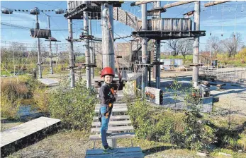  ?? FOTO: CHRISTOPH SCHNEIDER ?? Schnell noch ein paar Runden geklettert ist der sechsjähri­ge Moritz Ober am Tag vor der saisonbedi­ngten Schließung des Laupheimer Hochseilga­rtens Mobi-Park.