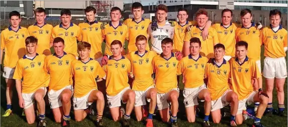  ??  ?? The Wicklow Schools team who are through to the Leinster Senior ‘A’ semi-final where they will face Wexford’s St Peter’s.