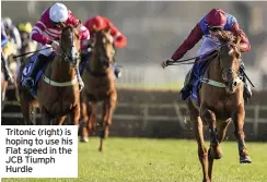  ??  ?? Tritonic (right) is hoping to use his Flat speed in the JCB Tiumph Hurdle