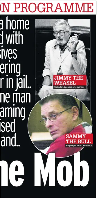  ??  ?? JIMMY THE WEASEL
Got wife’s boob job on expenses
SAMMY THE BULL Helped put away John Gotti