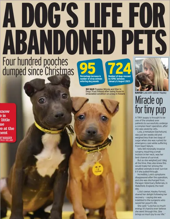  ?? ?? SO SAD Puppies Winnie and Star in Dogs Trust Ireland after being found in emaciated condition on a bog in Kildare