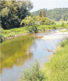  ?? FOTO: CORINNA WOLBER ?? Trockene Kiesbänke und Algen: Die Donau, hier in Sigmaringe­ndorf, führt extrem wenig Wasser.