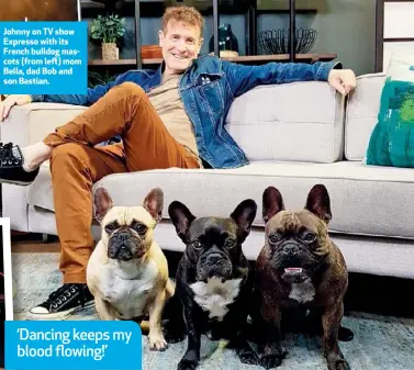  ??  ?? Johnny on TV show Expresso with its French bulldog mascots (from left) mom Bella, dad Bob and son Bastian.