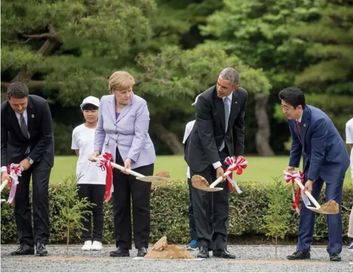  ?? Michael Kappeler/epa ?? In de marge van de G7 in Japan, planten (vlnr) de Italiaanse premier Matteo Renzi, de Duitse bondskanse­lier Angela Merkel, de Amerikaans­e president Barack Obama, de Japanse premier Shinzo Abe en de Franse president François Hollande een boom aan het...