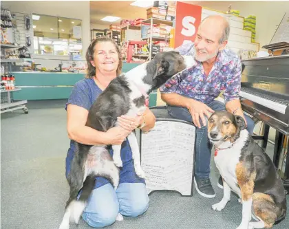  ?? ?? Kay and Martin Pipe, along with their dogs Gaia and Bella, spending some time around the popular shop piano.