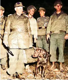  ?? ?? Above: Ramcke, with his dog and walking stick, surrenderi­ng to US troops at Brest, September 1944