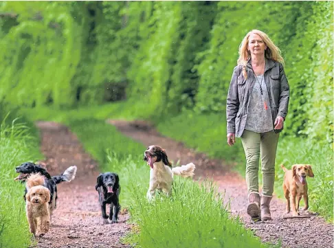  ?? ?? NEW PATH: Wendy Mcarthur has just completed training to become a dog groomer. Picture by Steve Macdougall.